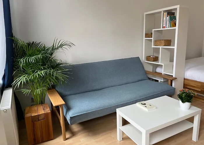 Central Sunny Flat With Free Parking